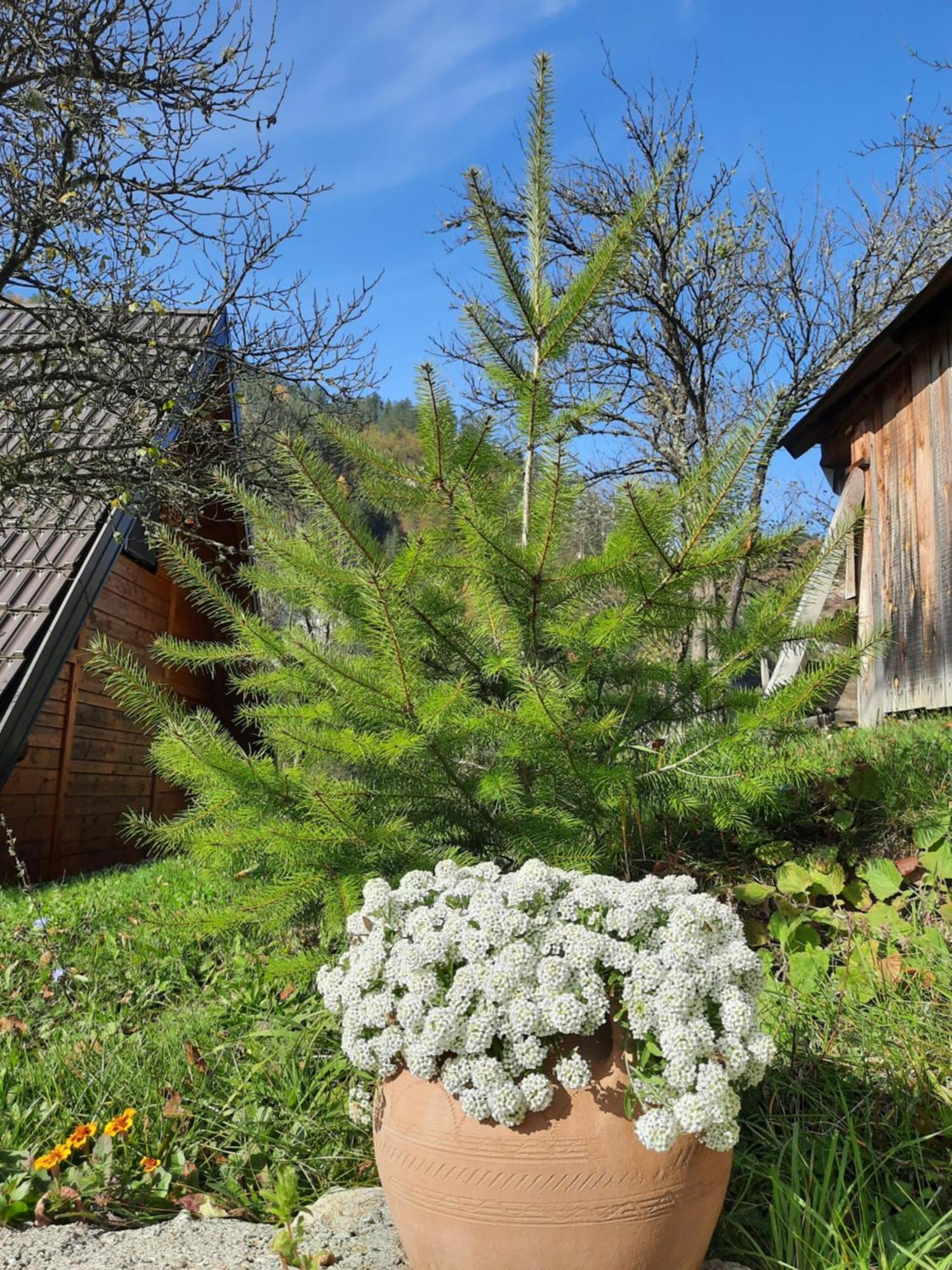 Вілла Vikendica Neven Zaovine Екстер'єр фото